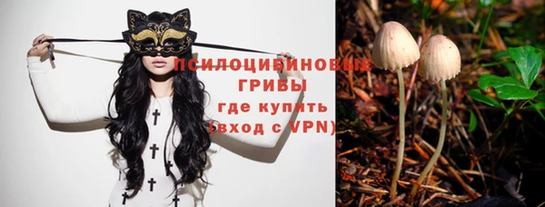 экстази Заводоуковск