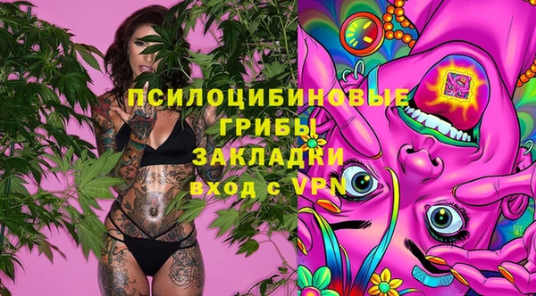 экстази Заводоуковск