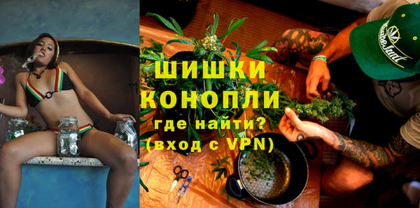 сатива Елизово