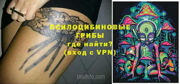 экстази Заводоуковск
