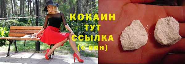 шишки Елабуга