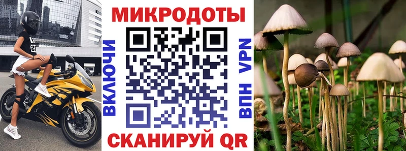 Купить Спас-Деменск Псилоцибиновые грибы MAGIC MUSHROOMS
