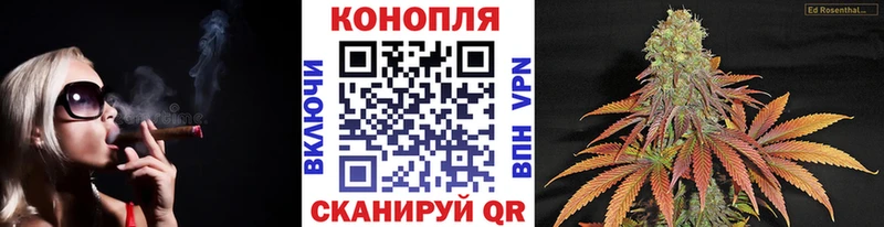 Бошки Шишки MAZAR  Купить  Спас-Деменск 